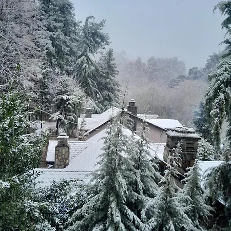 Отель Grand Ahtamar *